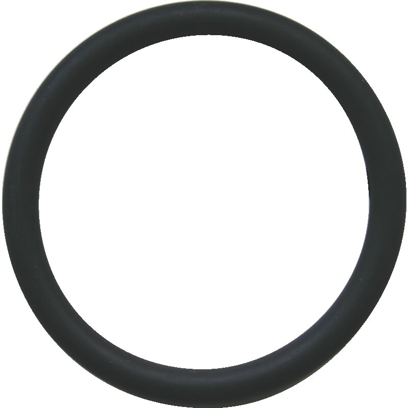 Steyr O-Ring 49 x 5,5 mm 11800410049 – Original-Ersatzteil für Steyr Motoren