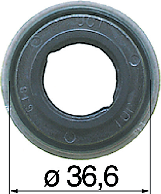 Gleitring anstelle von Massey Ferguson 2415216 – passend zu allen Sätzen GartenShop24 - Hochwertige Gartengeräte