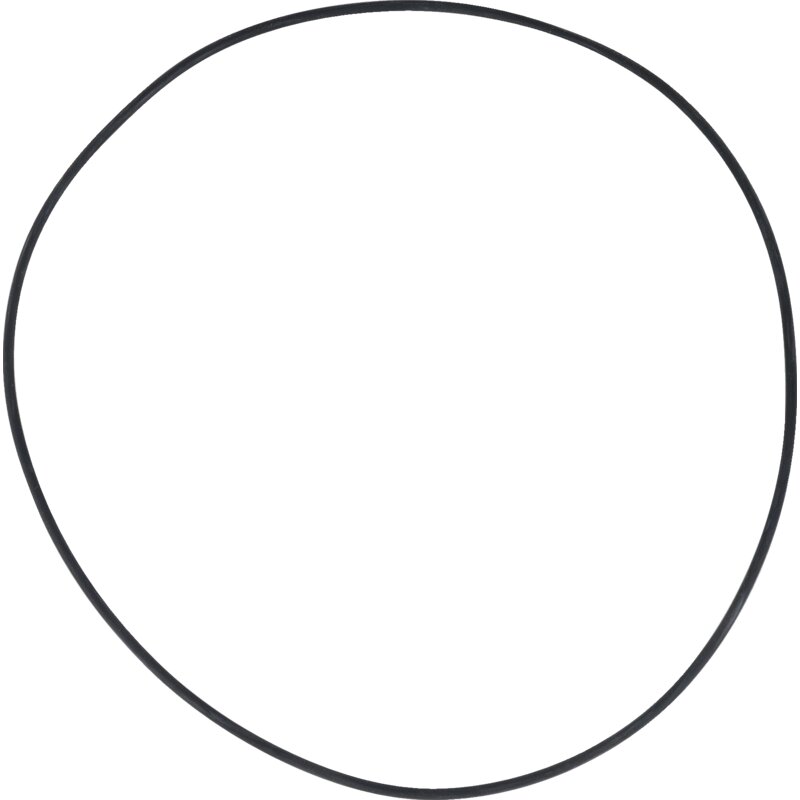 O-Ring 183,82 x 2,62 mm Dana Spicer – Original-Ersatzteil für Dana Spicer Motoren