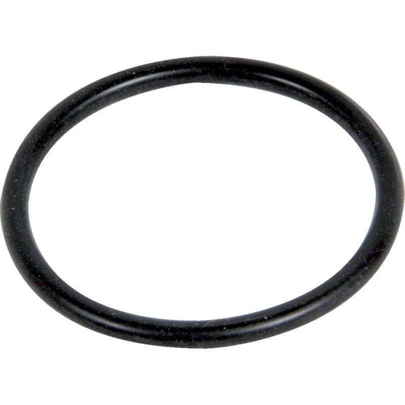 ZF O-Ring 48 x 4 mm ZF
