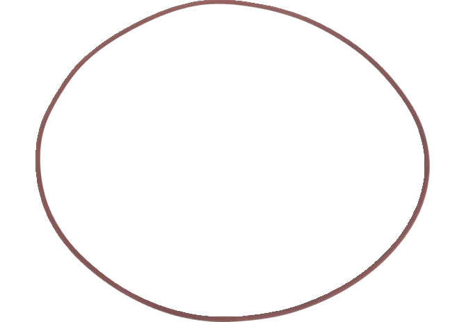 O-Ring 279 x 3,53 mm CNH 14469481 GartenShop24 - Hochwertige Gartengeräte