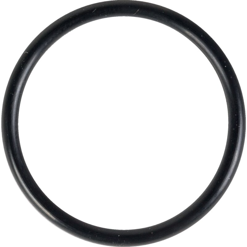 Dana Spicer O-Ring für Triebling 32 mm, Innendurchmesser 32 mm, Stärke 2,3 mm