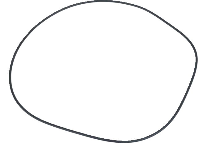 O-Ring 291,69 x 3,53 mm anstelle von Deutz-Fahr 2.1539.038.0 GartenShop24 - Hochwertige Gartengeräte