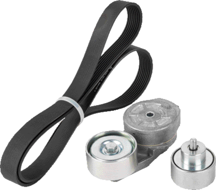 Ina Keilrippenriemensatz Keilrippenriemen 8PK 1550 mm mit Umlenkrolle 65 mm passend zu CNH Ina