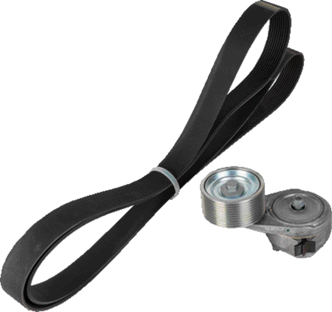 Ina Keilrippenriemensatz Keilrippenriemen 10PK 2562 mm passend zu CNH Ina