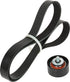 Ina Keilrippenriemensatz Keilrippenriemen 8PK 1381 mm mit Umlenkrolle 65 mm passend zu New Holland Ina