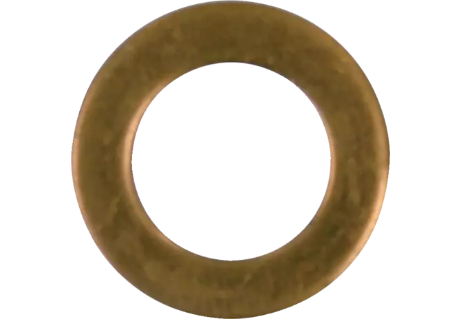 Düsenring S = 1,5 mm, Iø = 11,2 mm, Aø = 18,8 mm anstelle von Steyr 1614080020 GartenShop24 - Hochwertige Gartengeräte