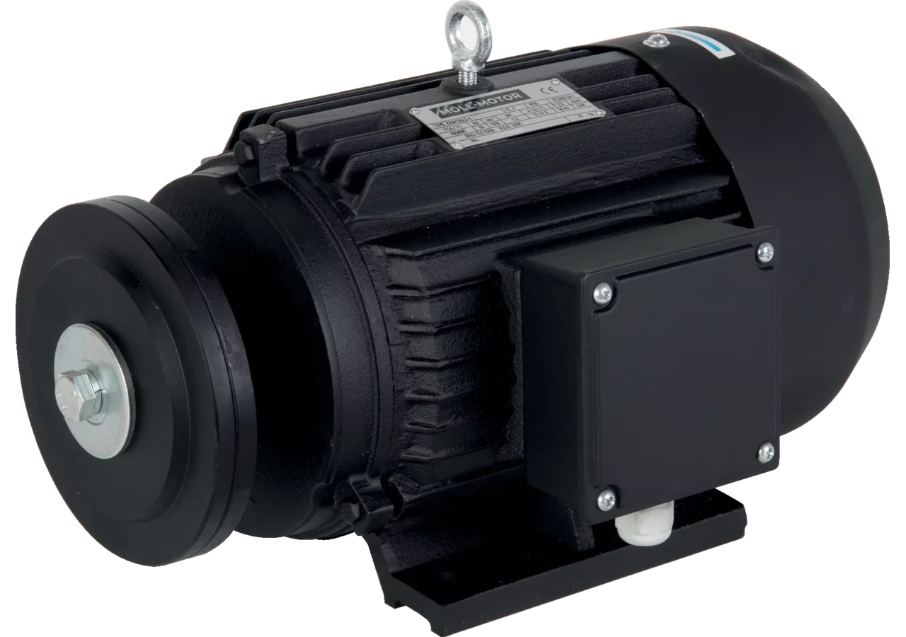 Kreissägemotor 5,5kW/8kW/1350U/400/690V/50Hz S6-40%/Sägeblattflansch GartenShop24 - Hochwertige Gartengeräte