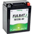 Fulbat Batterie 12 V, 12 Ah, 150 A, Fulbat Gel, FB12AL - A2 FB12AL-A2 Fulbat