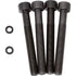 Knott Reparatursatz Bremssattel 00145002 mit Schrauben und Dichtringen M10 x 1,25 x 80