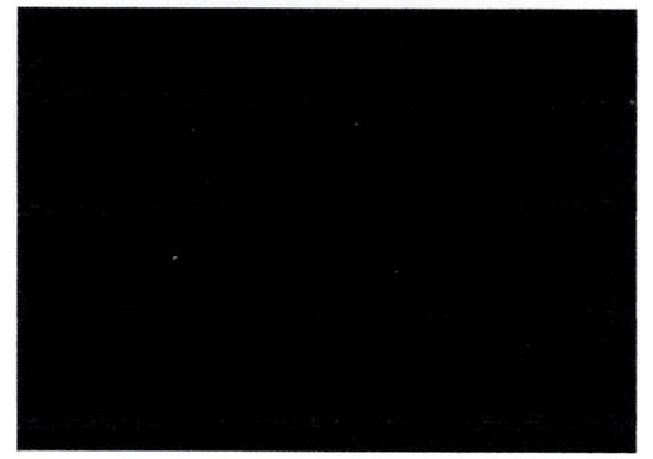 Gummimatte 1400 x 1000 x 8 mm – EPDM GartenShop24 - Hochwertige Gartengeräte