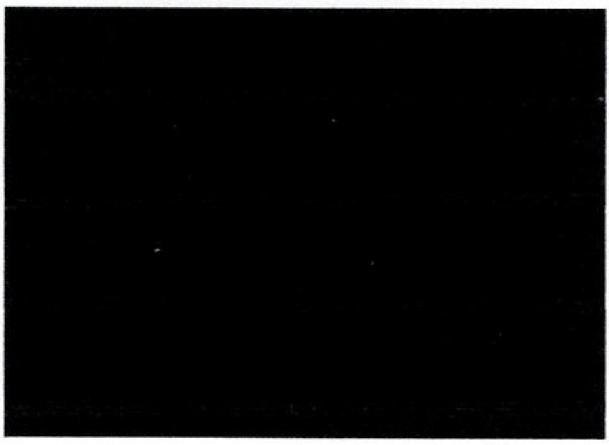 Gummimatte 1400 x 1000 x 8 mm – EPDM GartenShop24 - Hochwertige Gartengeräte
