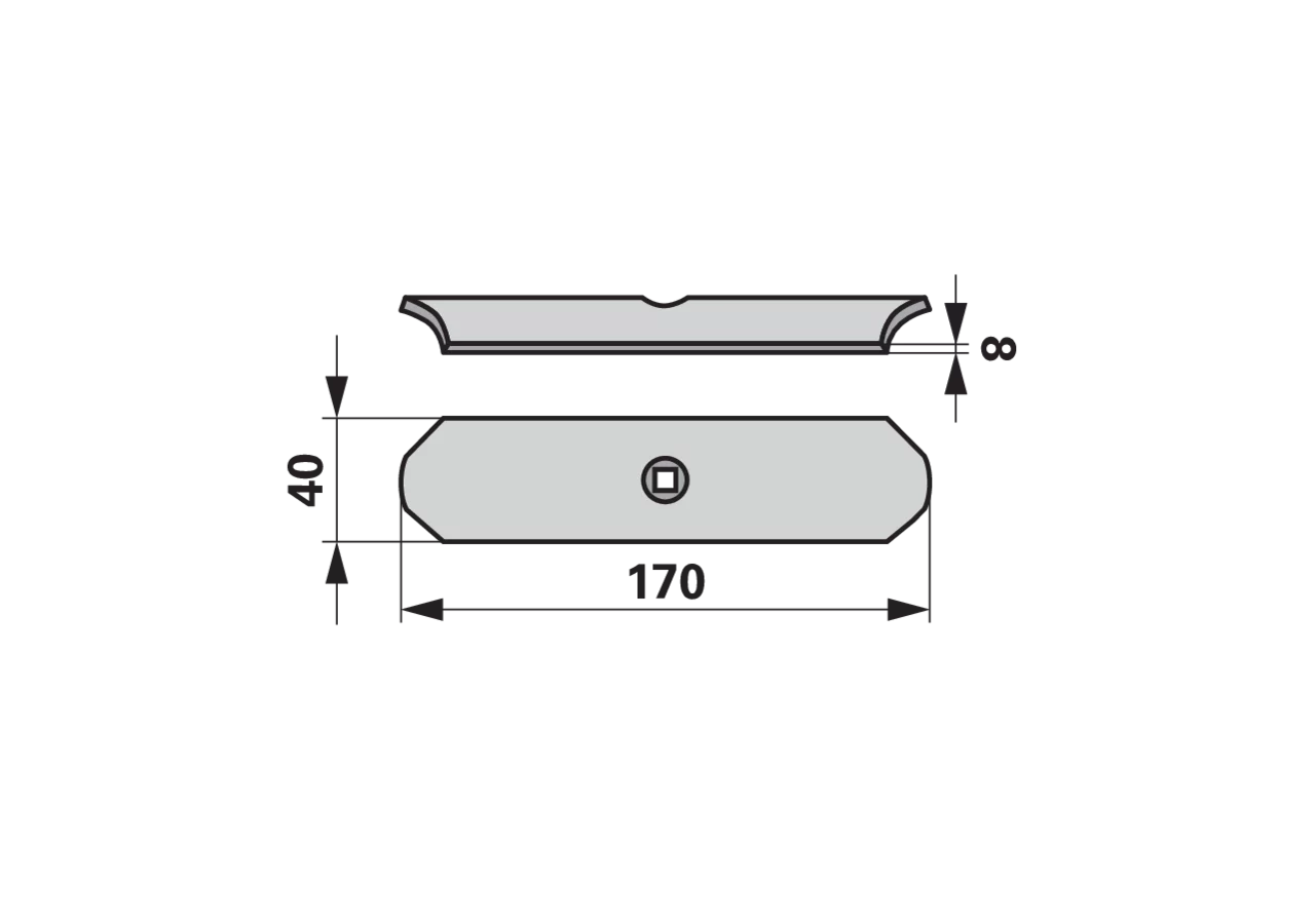 Gareschare 40 x 8 x 170 mm GartenShop24