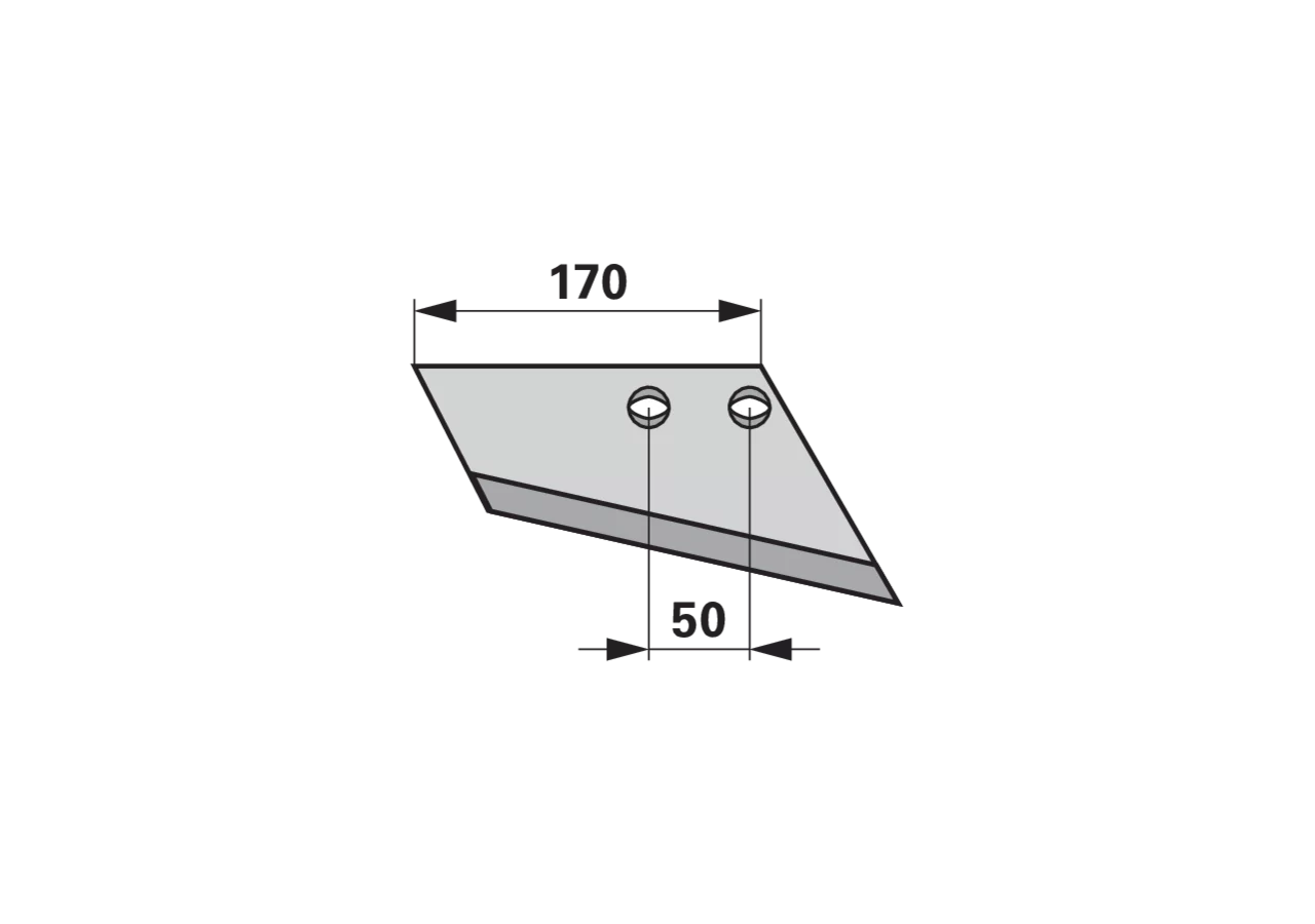 Flügelschare rechts, 170 x 8 mm, Lochabstand 50 mm GartenShop24