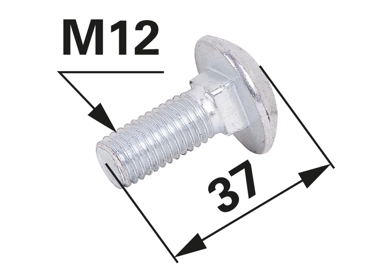 Flachrundschraube M12 x 30 mm – passend für Lemken 301 1806 GartenShop24