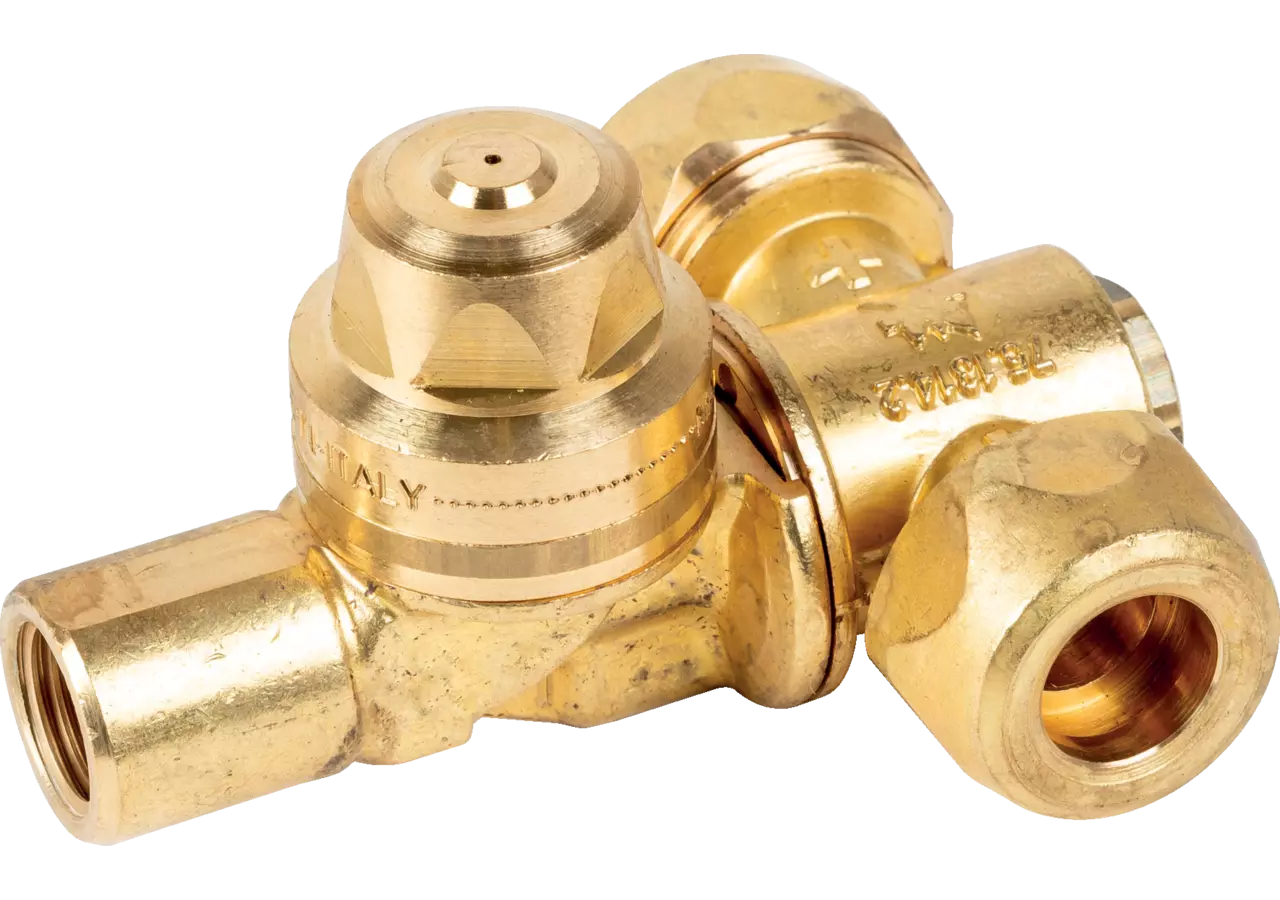 Sprühkopf doppelt 1/4 Zoll IG für Düse 15 mm Braglia