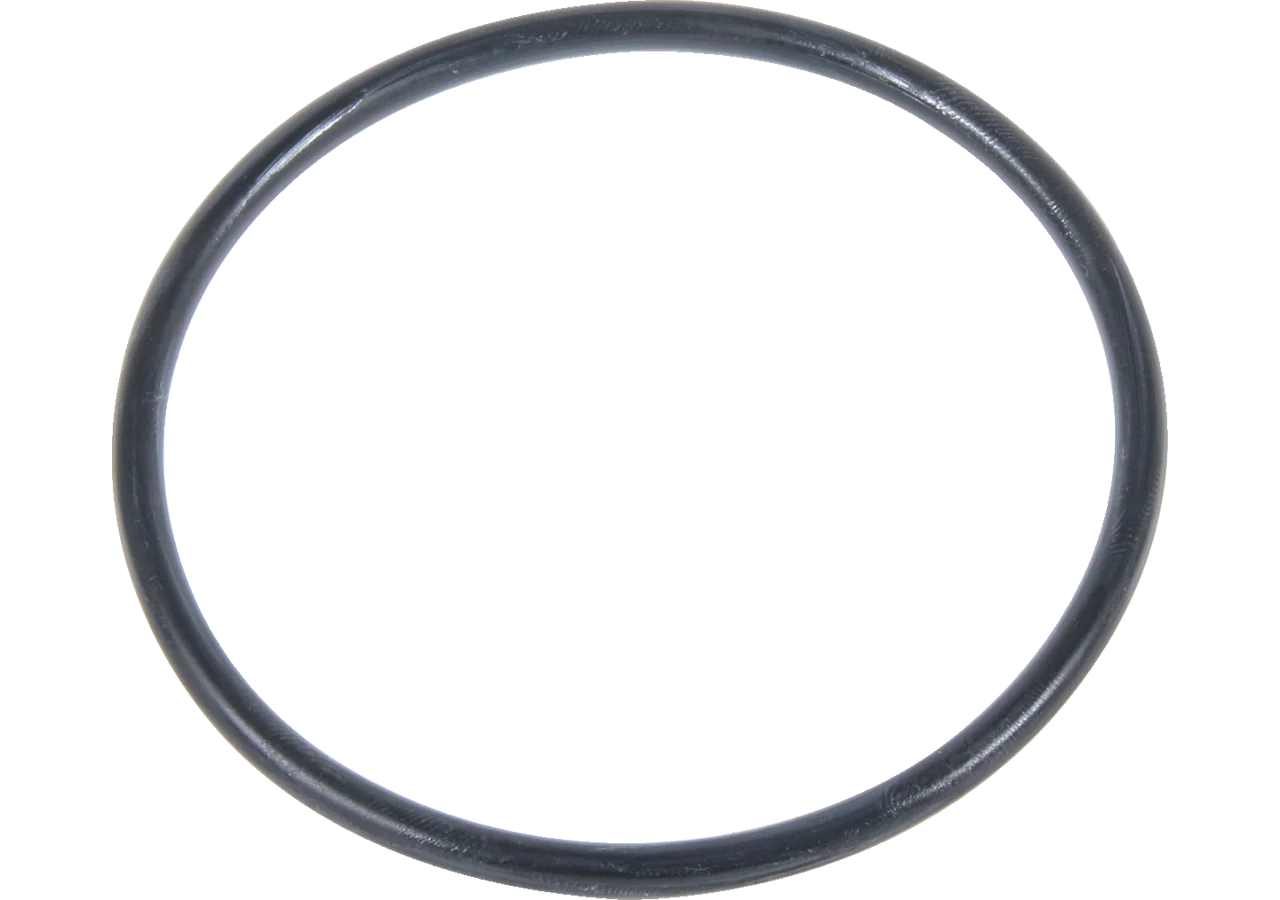 O-Ring zu Gehäuse, zu Ansaugfilter GartenShop24