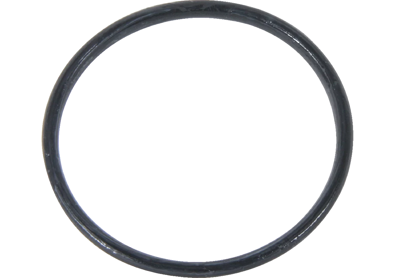 O-Ring zu Gehäuse, zu Ansaugfilter GartenShop24