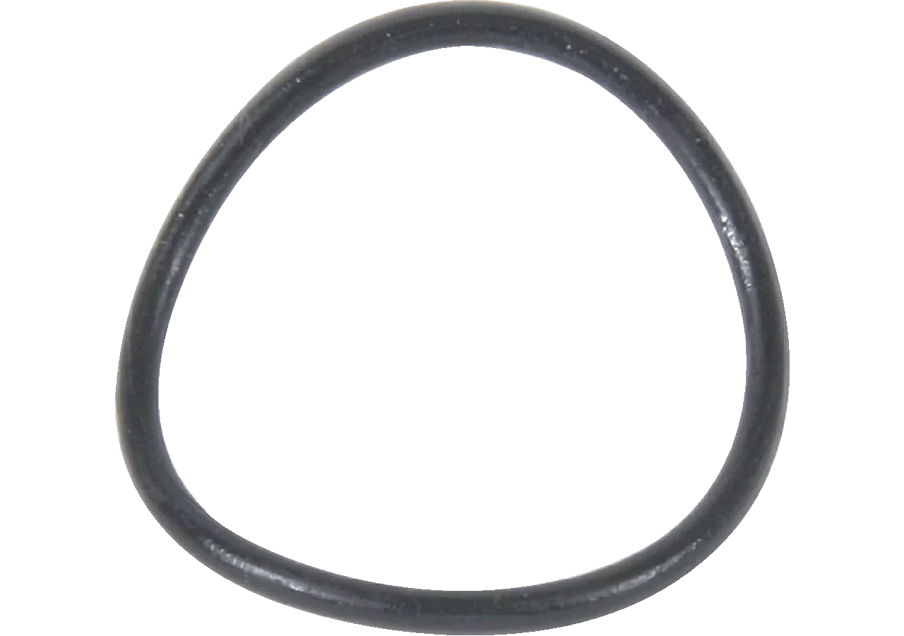 O-Ring zu Filtereinsatz GartenShop24