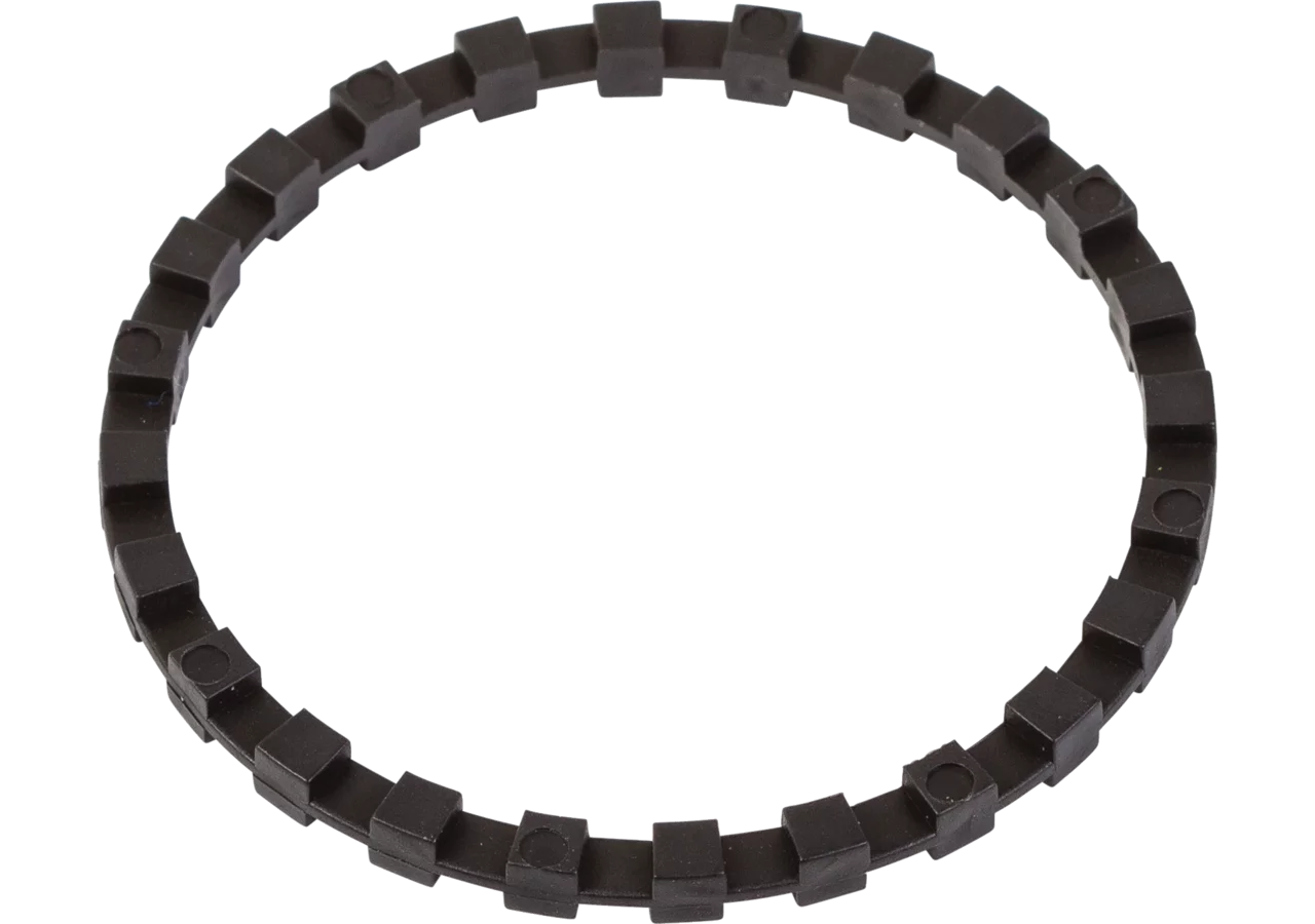 Zahnring Rau 00039753 Rau