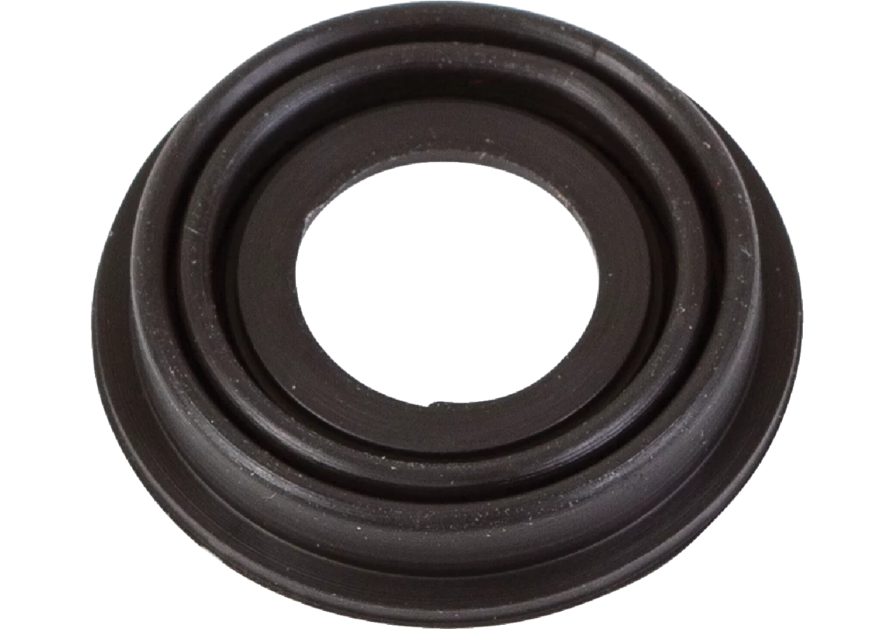 Magnetmembran EVD Rau 00047229 Rau