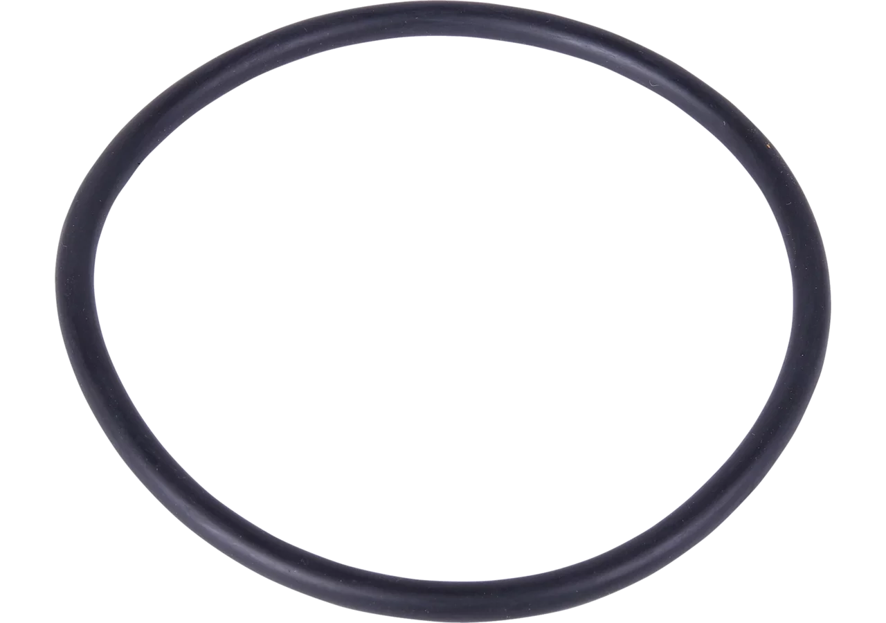 O-Ring Rau 00058725 GartenShop24