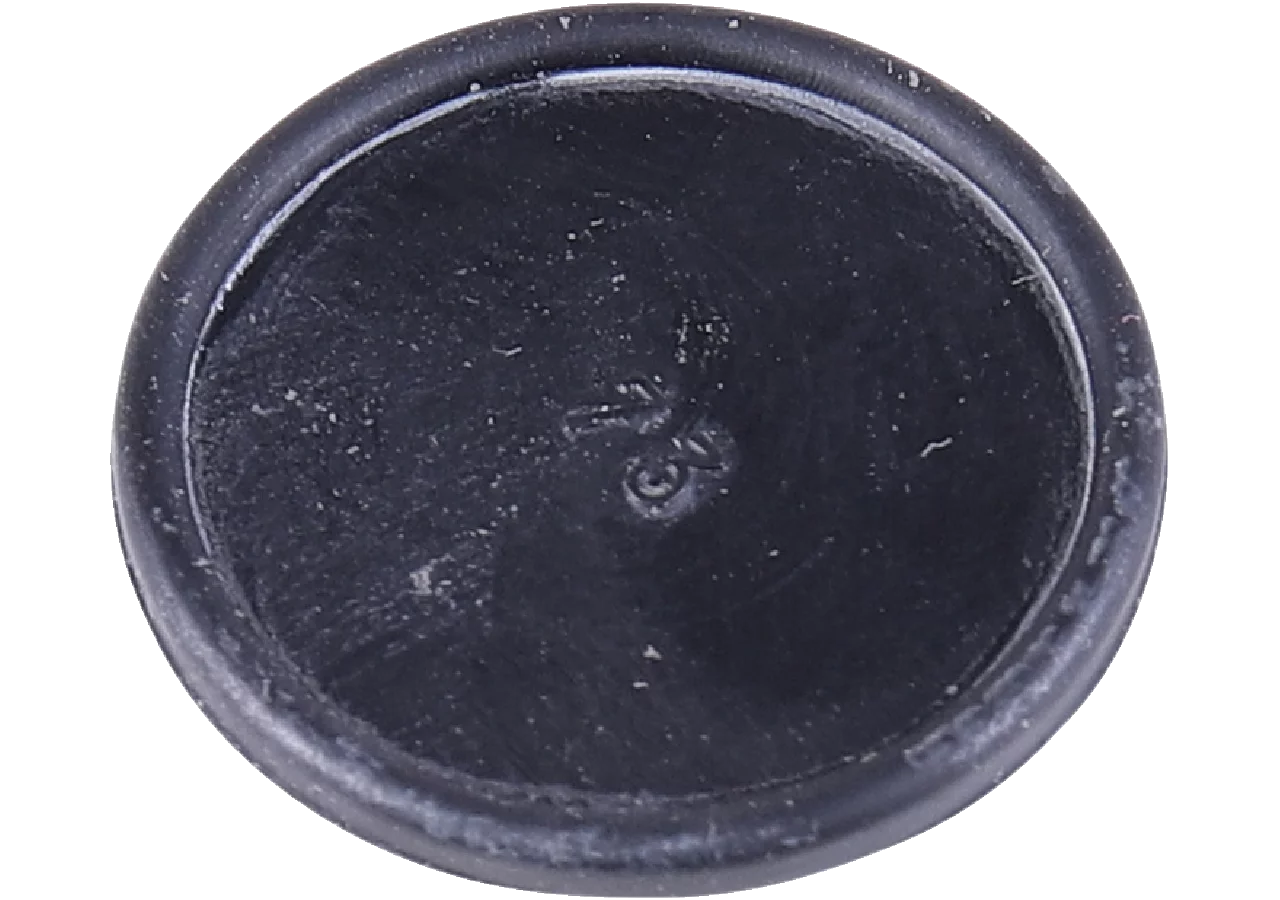 Membrane Rau 00061824 Rau