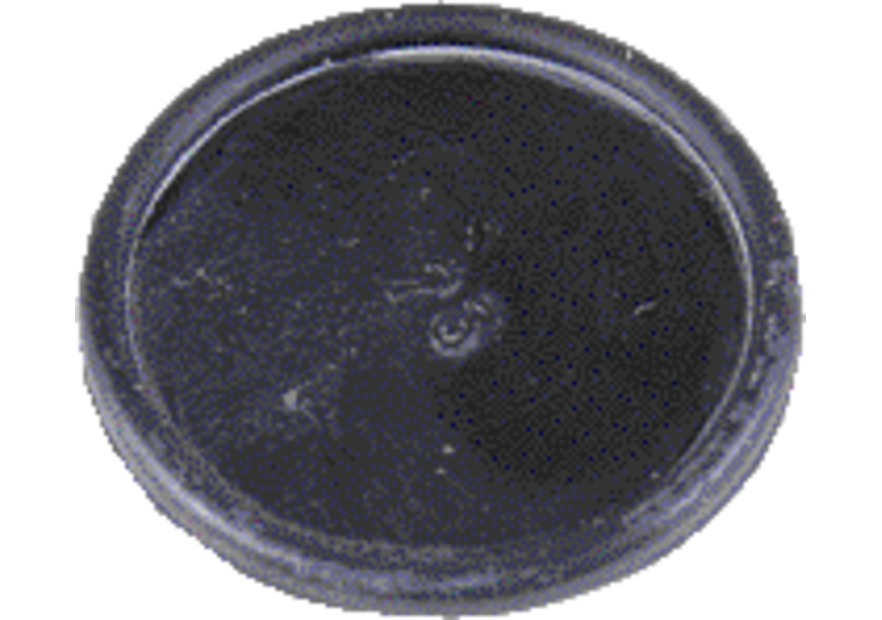 Membrane Rau 00061824 Rau