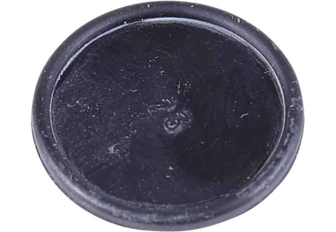 Membrane Rau 00061824 Rau