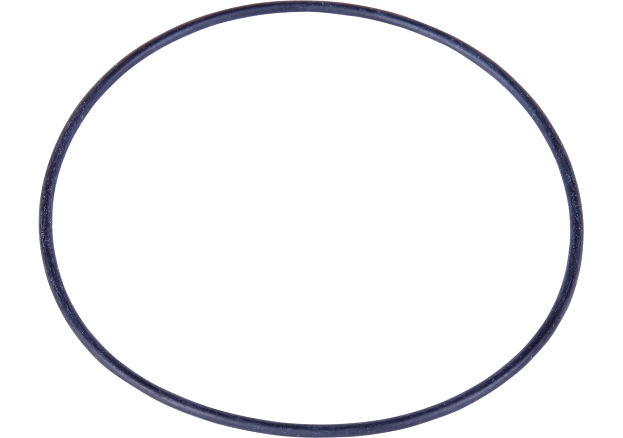 O-Ring Rau 00058723 GartenShop24