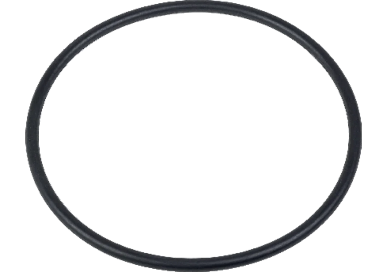 O-Ring zu Filtergehäuse GartenShop24