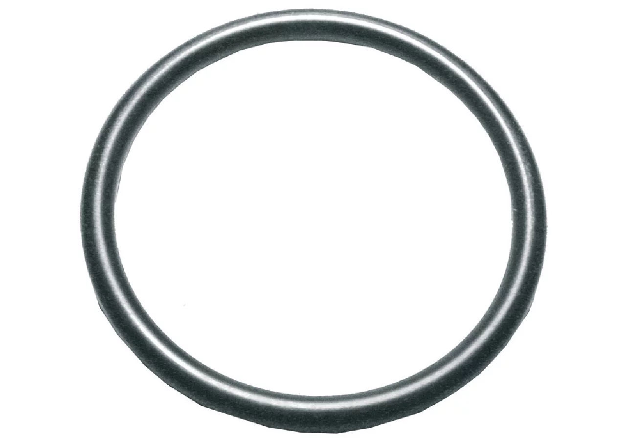 O-Ring 28,25 x 2,62 mm Annovi Reverberi 390291 Annovi Reverberi