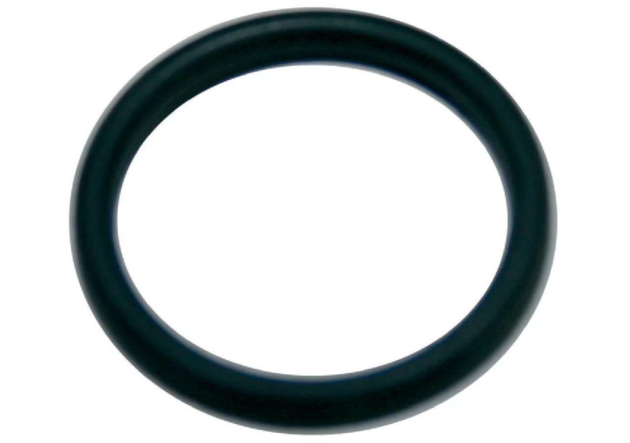 O-Ring 17,5 x 2 mm Annovi Reverberi 180101 Annovi Reverberi