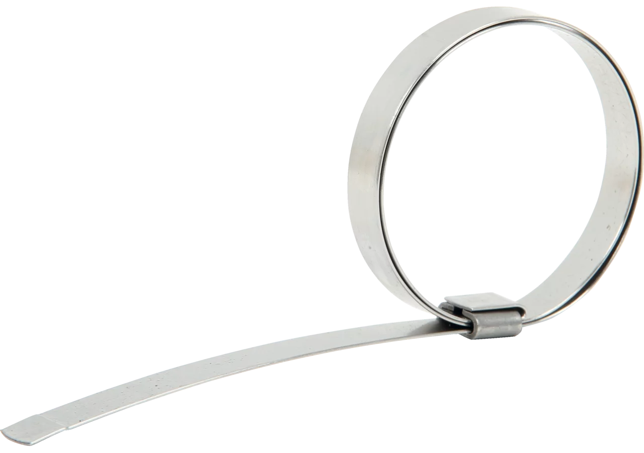 Schelle Edelstahl, 48 x 9,5 mm GartenShop24