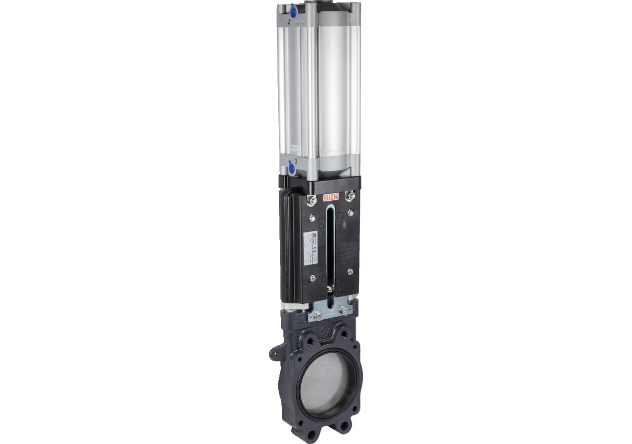 Plattenschieber 6 Zoll, 2 x Flansch, Zylinder doppelwirkend, DM 125mm pneu. Battioni Locker BiDi 150 Battioni Pagani