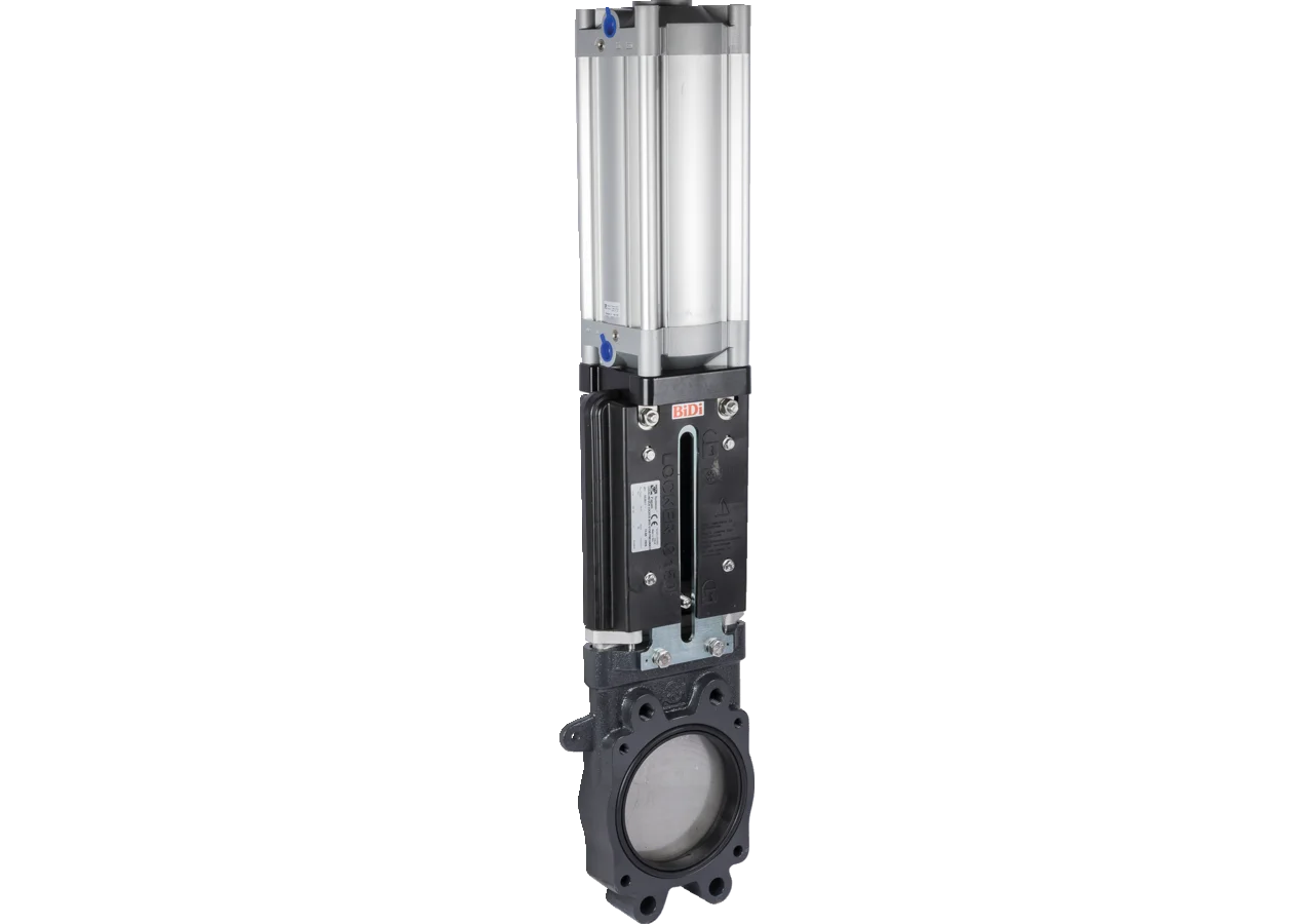Plattenschieber 6 Zoll, 2 x Flansch, Zylinder doppelwirkend, DM 125mm pneu. Battioni Locker BiDi 150 Battioni Pagani