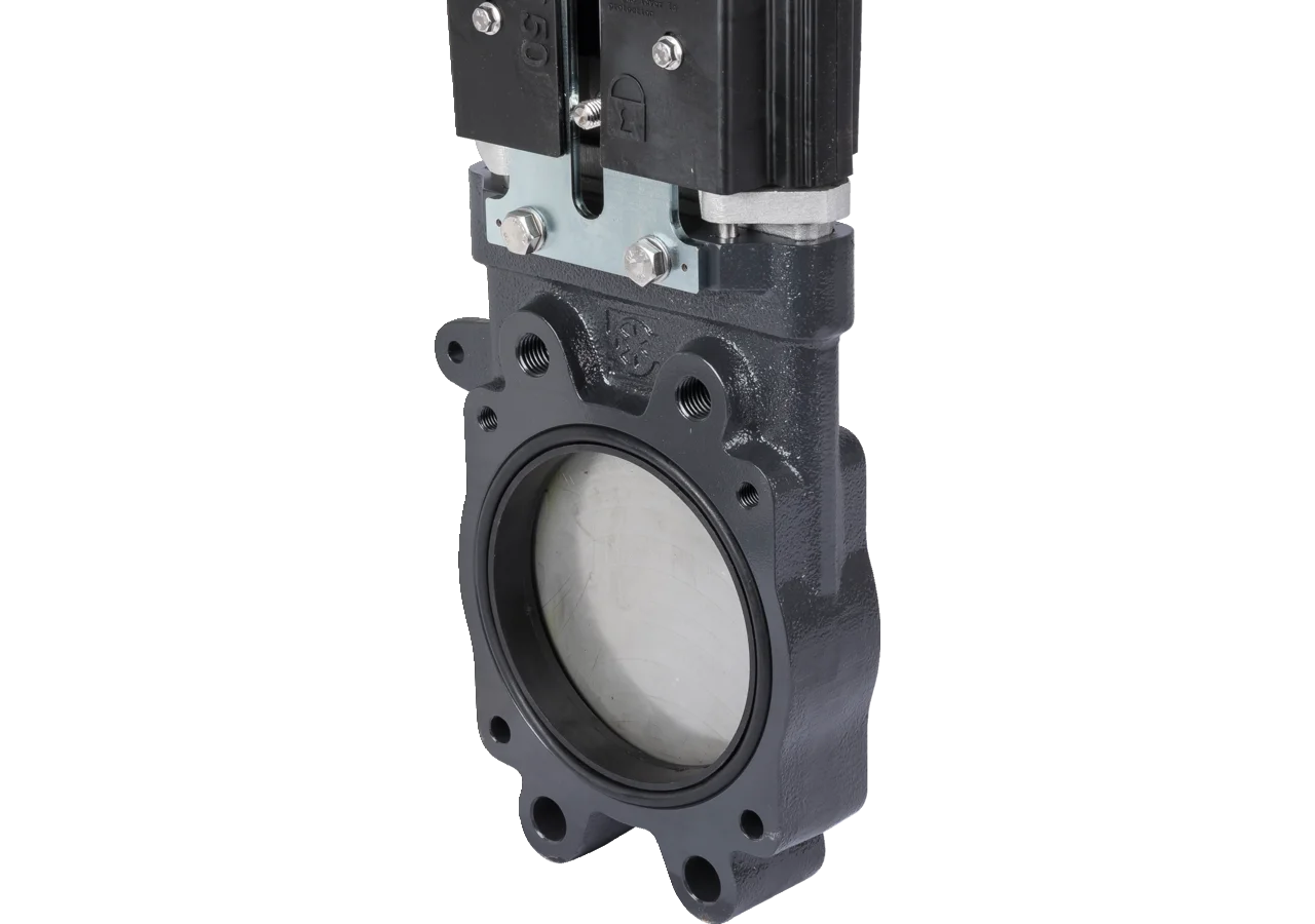 Plattenschieber 6 Zoll, 2 x Flansch, Zylinder doppelwirkend, DM 125mm pneu. Battioni Locker BiDi 150 Battioni Pagani