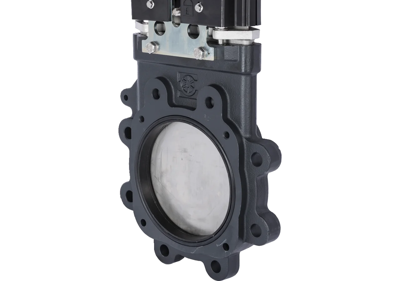 Plattenschieber 8 Zoll, 2 x Flansch, Zylinder doppelwirkend, DM 125 mm pneu. Battioni Locker BiDi 20 Battioni Pagani