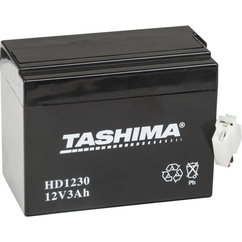 Batterie 12 V, 3 Ah, Gel GartenShop24 - Hochwertige Gartengeräte