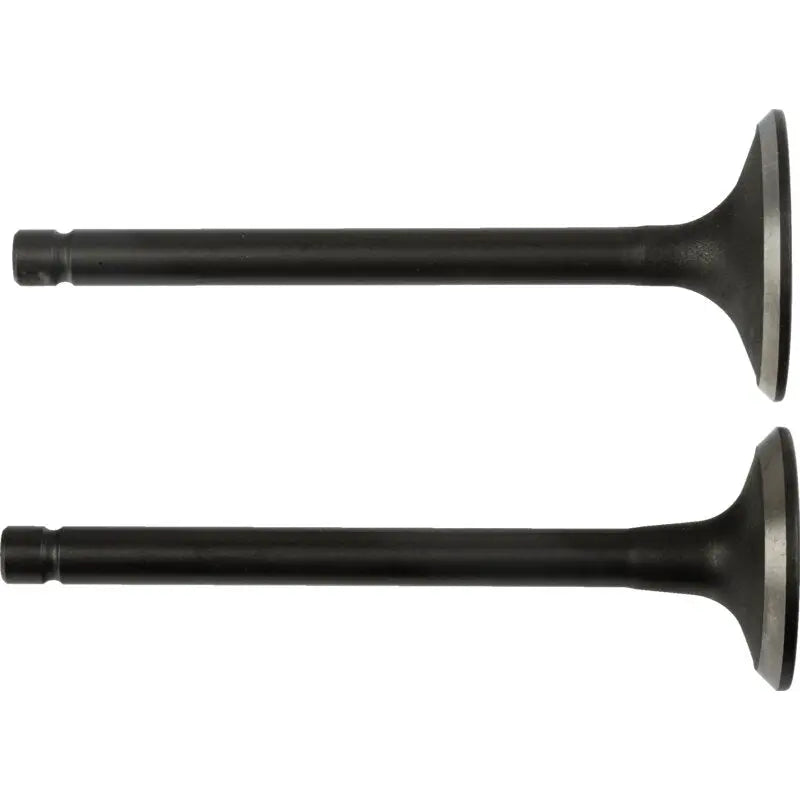 Ventile Loncin 500550037-0001 für 2P77F – Original-Ersatzteil Alko V-Twin Engine