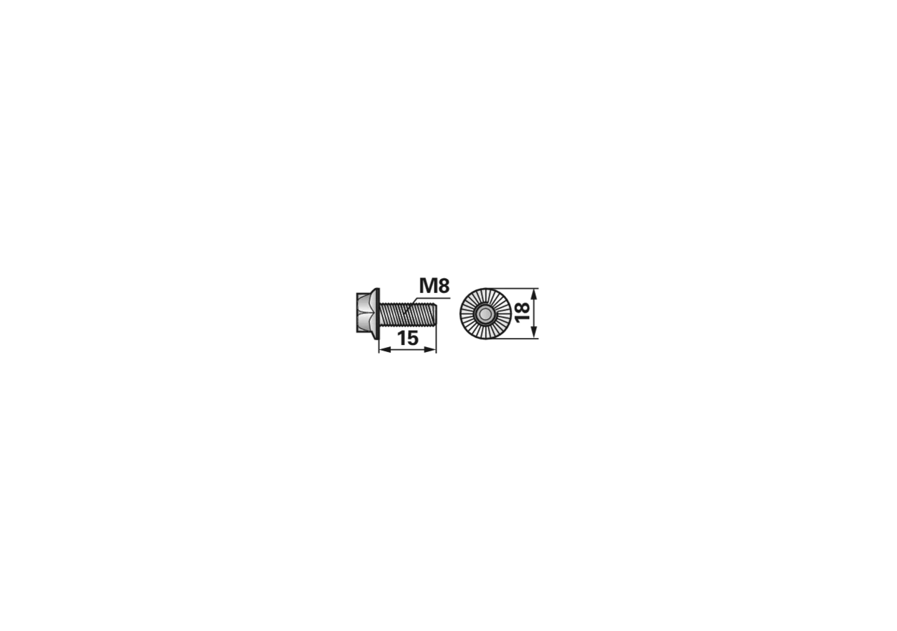 Sperrrippschraube M8 x 15 ESM 5620420 ESM
