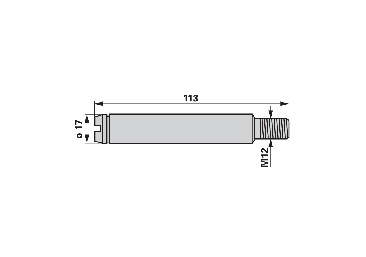 Lagerbolzen für Kreiselheuer, AD 70 x L 113 mm – passend für Deutz-Fahr 06581596 GartenShop24