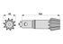 Ritzelwelle 10 Zähne Kuhn 57569100 Kuhn