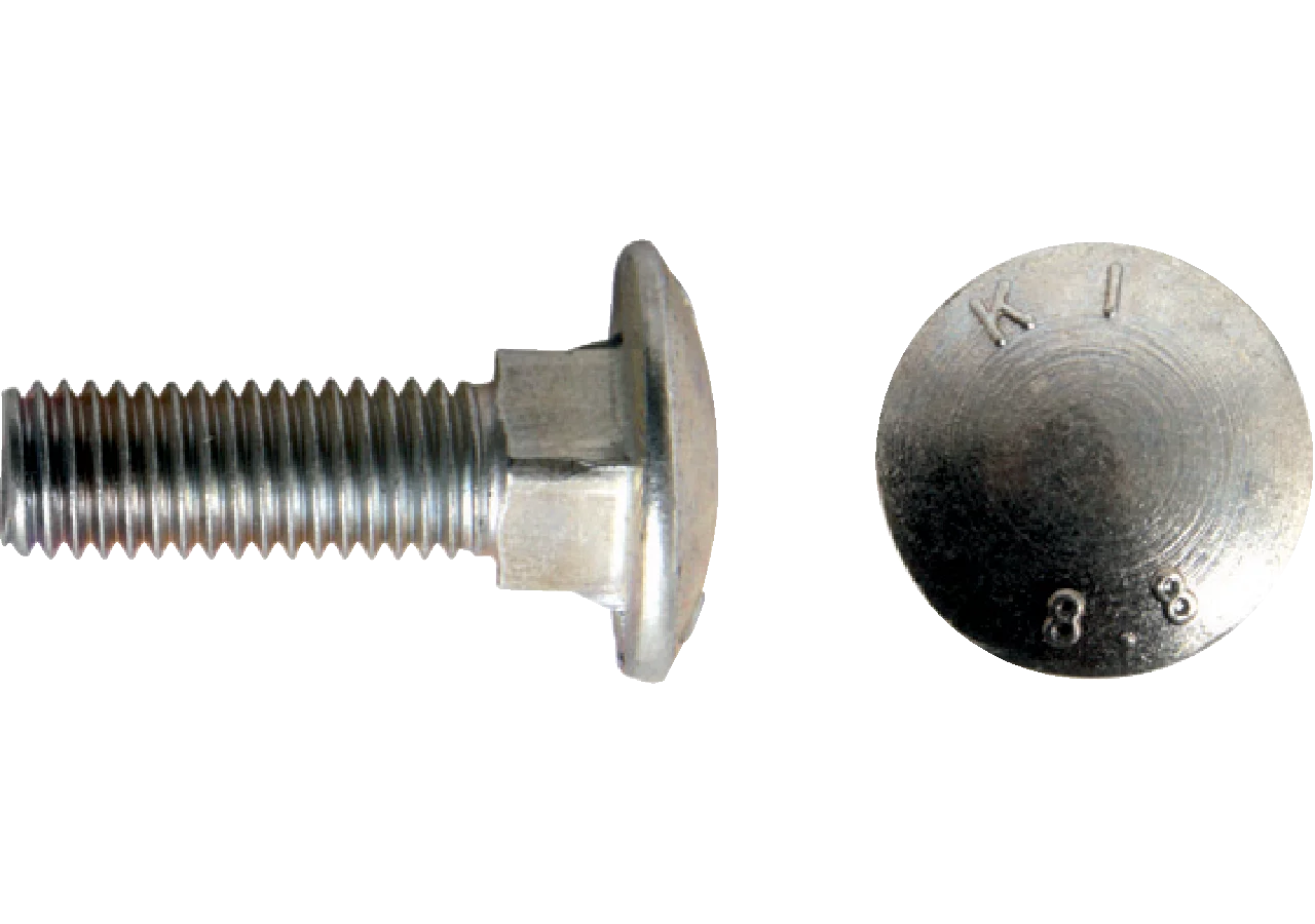 Torbandschraube M12 x 40 mm GartenShop24
