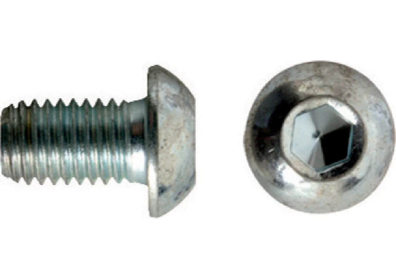 Linsenkopfschraube M12 x 20 mm GartenShop24