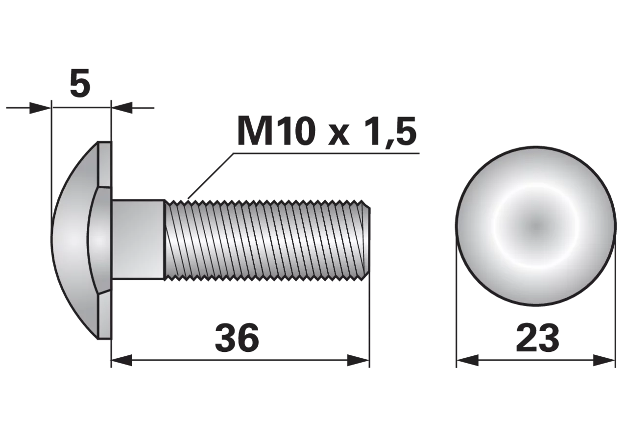 Flachrundschraube M10 x 35 mm GartenShop24