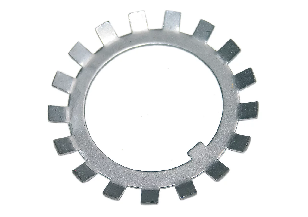 Sicherungsblech 48,5 x 1,5 x 58 mm GartenShop24