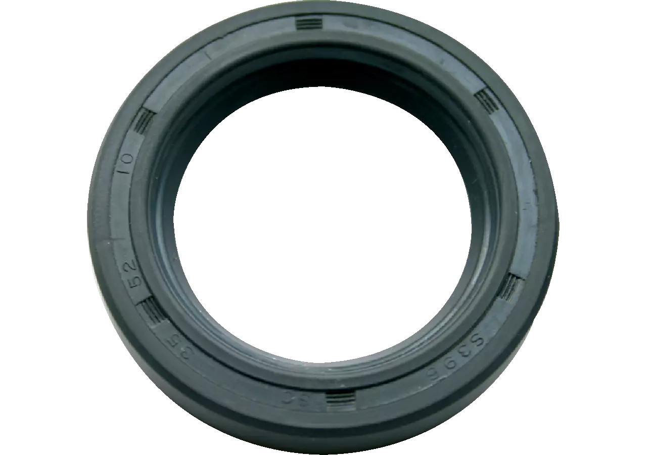 Wellendichtring AD 30 x ID 22 x S 4 mm – passend für Bucher H065300320 GartenShop24