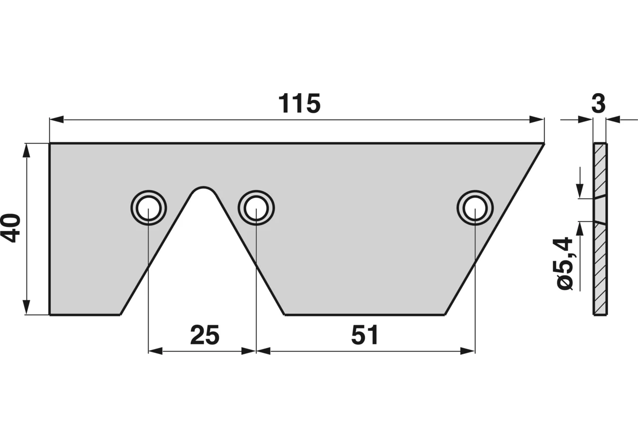 Reinigungsplatte L 115 x B 40 x S 3 mm – passend für Rasspe RS7563 Rasspe