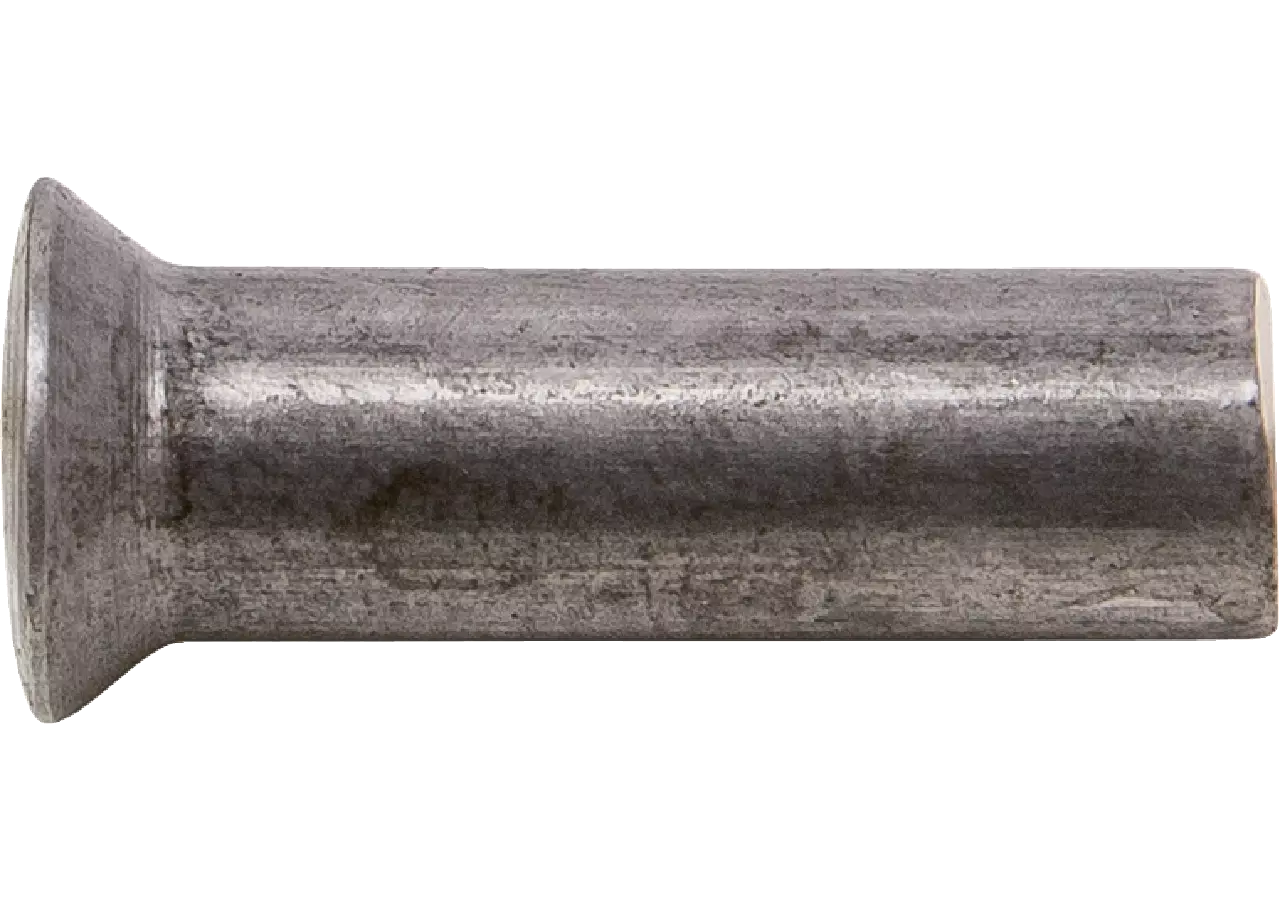 Linsenkopfniet AD 6 x L 12 mm, 160 Stück – passend für ESM 3231861 GartenShop24